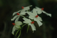 Canon EOS DIGITAL REBEL, 2006:03:11 14:57:41 -- 1/160 sec, f/4.5.  No Flash.3072x2048 Off.