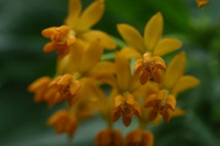 Canon EOS DIGITAL REBEL, 2006:03:11 14:59:58 -- 1/250 sec, f/4.5.  No Flash.3072x2048 Off.