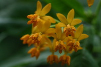 Canon EOS DIGITAL REBEL, 2006:03:11 15:00:08 -- 1/250 sec, f/4.5.  No Flash.3072x2048 Off.