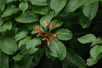 Canon EOS DIGITAL REBEL, 2006:03:11 15:09:44 -- 1/640 sec, f/5.6.  No Flash.3072x2048 Off.