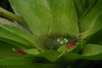 Canon EOS DIGITAL REBEL, 2006:03:11 15:09:59 -- 1/2500 sec, f/5.0.  No Flash.3072x2048 Off.