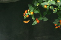 Canon EOS DIGITAL REBEL, 2006:03:11 15:10:57 -- 1/125 sec, f/7.1.  No Flash.3072x2048 Off.