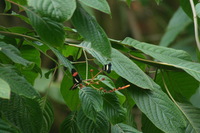 Canon EOS DIGITAL REBEL, 2006:03:11 15:12:29 -- 1/400 sec, f/7.1.  No Flash.3072x2048 Off.