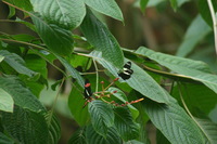 Canon EOS DIGITAL REBEL, 2006:03:11 15:12:32 -- 1/320 sec, f/7.1.  No Flash.3072x2048 Off.