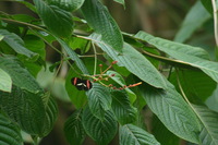 Canon EOS DIGITAL REBEL, 2006:03:11 15:12:57 -- 1/320 sec, f/7.1.  No Flash.3072x2048 Off.