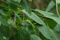 Canon EOS DIGITAL REBEL, 2006:03:11 15:13:04 -- 1/320 sec, f/7.1.  No Flash.3072x2048 Off.