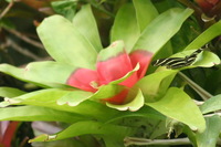 Canon EOS DIGITAL REBEL, 2006:03:11 15:21:06 -- 1/400 sec, f/7.1.  No Flash.3072x2048 Off.