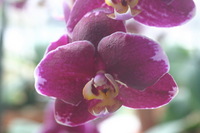 Canon EOS DIGITAL REBEL, 2006:03:11 15:27:58 -- 1/20 sec, f/5.0.  No Flash.3072x2048 Off.