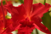 Canon EOS DIGITAL REBEL, 2006:03:11 16:11:10 -- 1/60 sec, f/4.5.  No Flash.3072x2048 Off.