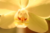 Canon EOS DIGITAL REBEL, 2006:03:11 16:12:41 -- 1/80 sec, f/4.5.  No Flash.3072x2048 Off.