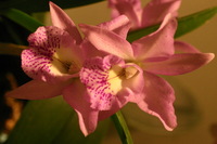 Canon EOS DIGITAL REBEL, 2006:03:11 16:13:31 -- 1/250 sec, f/4.5.  No Flash.3072x2048 Off.