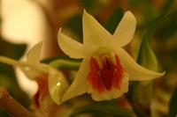 Canon EOS DIGITAL REBEL, 2006:03:11 16:16:50 -- 1/50 sec, f/4.5.  No Flash.3072x2048 Off.