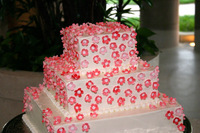 Canon EOS DIGITAL REBEL, 2006:04:22 19:58:02 -- 1/60 sec, f/5.6.  Flash, Compulsory.3072x2048 On.