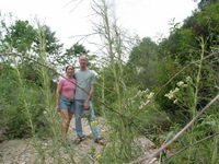 Canon PowerShot G3, 2006:05:21 12:51:36 -- 1/320 sec, f/4.0.  No Flash, Auto.2272x1704 Red-Eye Reduction (Auto).