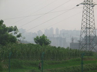 Canon PowerShot G3, 2006:06:19 06:25:25 -- 1/640 sec, f/4.0.  No Flash, Auto.2272x1704 Red-Eye Reduction (Auto).