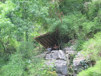 Canon PowerShot G3, 2006:06:21 10:51:15 -- 1/50 sec, f/3.2.  No Flash, Auto.2272x1704 Red-Eye Reduction (Auto).