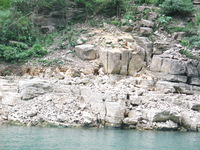 Canon PowerShot G3, 2006:06:21 11:04:04 -- 1/50 sec, f/4.0.  No Flash, Auto.2272x1704 Red-Eye Reduction (Auto).