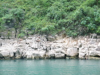 Canon PowerShot G3, 2006:06:21 11:04:08 -- 1/50 sec, f/4.0.  No Flash, Auto.2272x1704 Red-Eye Reduction (Auto).