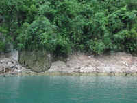 Canon PowerShot G3, 2006:06:21 11:04:50 -- 1/80 sec, f/4.0.  No Flash, Auto.2272x1704 Red-Eye Reduction (Auto).