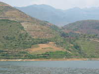 Canon PowerShot G3, 2006:06:21 12:05:34 -- 1/1000 sec, f/4.0.  No Flash, Auto.2272x1704 Red-Eye Reduction (Auto).