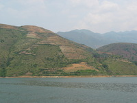 Canon PowerShot G3, 2006:06:21 12:05:44 -- 1/1000 sec, f/4.0.  No Flash, Auto.2272x1704 Red-Eye Reduction (Auto).