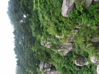 Canon PowerShot G3, 2006:06:25 09:09:19 -- 1/40 sec, f/8.0.  No Flash, Compulsory.2272x1704 Off.