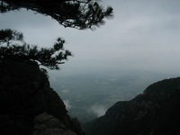 Canon PowerShot G3, 2006:06:25 09:14:45 -- 1/640 sec, f/8.0.  No Flash, Compulsory.2272x1704 Off.