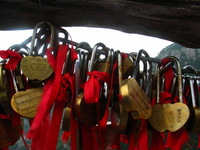 Canon PowerShot G3, 2006:06:25 09:26:20 -- 1/200 sec, f/8.0.  No Flash, Compulsory.2272x1704 Off.