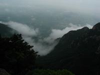 Canon PowerShot G3, 2006:06:25 09:26:43 -- 1/1000 sec, f/8.0.  No Flash, Compulsory.2272x1704 Off.