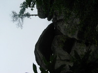 Canon PowerShot G3, 2006:06:25 09:39:15 -- 1/800 sec, f/8.0.  No Flash, Compulsory.2272x1704 Off.