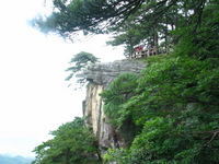 Canon PowerShot G3, 2006:06:25 10:42:34 -- 1/100 sec, f/8.0.  No Flash, Compulsory.2272x1704 Off.