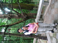 Canon PowerShot G3, 2006:06:25 11:59:12 -- 1/50 sec, f/4.0.  No Flash, Compulsory.2272x1704 Off.