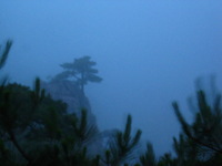 Canon PowerShot G3, 2006:06:29 05:18:29 -- 1 sec, f/8.0.  No Flash, Compulsory.2272x1704 Off.