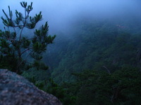 Canon PowerShot G3, 2006:06:29 05:19:38 -- 1/10 sec, f/2.0.  No Flash, Compulsory.2272x1704 Off.