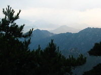 Canon PowerShot G3, 2006:06:29 05:56:06 -- 1/125 sec, f/8.0.  No Flash, Compulsory.2272x1704 Off.