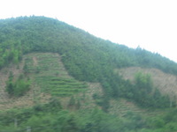 Canon PowerShot G3, 2006:06:29 15:41:49 -- 1/50 sec, f/4.0.  No Flash, Auto.2272x1704 Red-Eye Reduction (Auto).