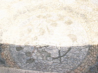 Canon PowerShot G3, 2006:07:01 12:14:34 -- 1/250 sec, f/8.0.  Flash, Compulsory, Red-Eye Reduce.2272x1704 Red-Eye Reduction (On).