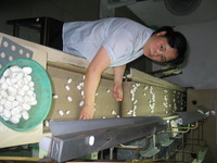 Canon PowerShot G3, 2006:07:01 13:35:16 -- 1/60 sec, f/2.0.  Flash, Auto, Red-Eye Reduce.2272x1704 Red-Eye Reduction (Auto).