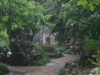 Canon PowerShot G3, 2006:07:01 15:02:50 -- 1/60 sec, f/2.5.  Flash, Auto, Red-Eye Reduce.2272x1704 Red-Eye Reduction (Auto).