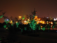 Canon PowerShot G3, 2006:07:02 22:13:54 -- 1 sec, f/8.0.  No Flash, Compulsory.2272x1704 Off.