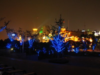 Canon PowerShot G3, 2006:07:02 22:14:11 -- 1 sec, f/8.0.  No Flash, Compulsory.2272x1704 Off.