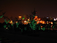 Canon PowerShot G3, 2006:07:02 22:14:32 -- 1/2 sec, f/8.0.  No Flash, Compulsory.2272x1704 Off.