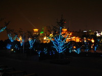 Canon PowerShot G3, 2006:07:02 22:15:23 -- 1/2 sec, f/8.0.  No Flash, Compulsory.2272x1704 Off.