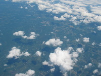 Canon PowerShot G3, 2006:07:06 02:20:14 -- 1/1000 sec, f/4.0.  No Flash, Compulsory.2272x1704 Off.