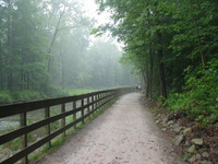 Canon PowerShot G3, 2006:08:19 11:18:37 -- 1/80 sec, f/4.0.  No Flash, Auto.2272x1704 Red-Eye Reduction (Auto).