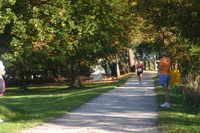 Canon EOS DIGITAL REBEL, 2006:10:08 09:49:22 -- 1/125 sec, f/6.3.  No Flash.3072x2048 Off.