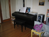 Canon PowerShot G3, 2006:11:10 22:28:45 -- 1/60 sec, f/2.0.  Flash, Auto, Red-Eye Reduce.2272x1704 Red-Eye Reduction (Auto).