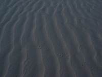 Canon PowerShot G3, 2006:12:26 20:05:59 -- 1/125 sec, f/8.0.  No Flash, Compulsory.2272x1704 Off.