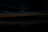 Canon EOS DIGITAL REBEL, 2006:12:27 09:30:15 -- 7 sec, f/14.0.  No Flash.3072x2048 Off.