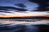 Canon EOS DIGITAL REBEL, 2006:12:27 09:31:22 -- 15 sec, f/5.0.  No Flash.3072x2048 Off.